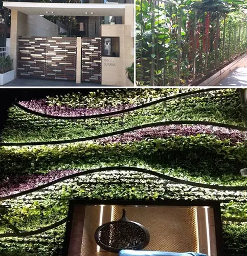 SURANA House SURANA House